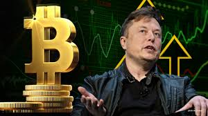 Elon Musk Is Aceing the Political Rise of Bitcoin: Investor Expects the Surge of Institutions