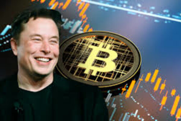 Elon Musk Is Aceing the Political Rise of Bitcoin: Investor Expects the Surge of Institutions