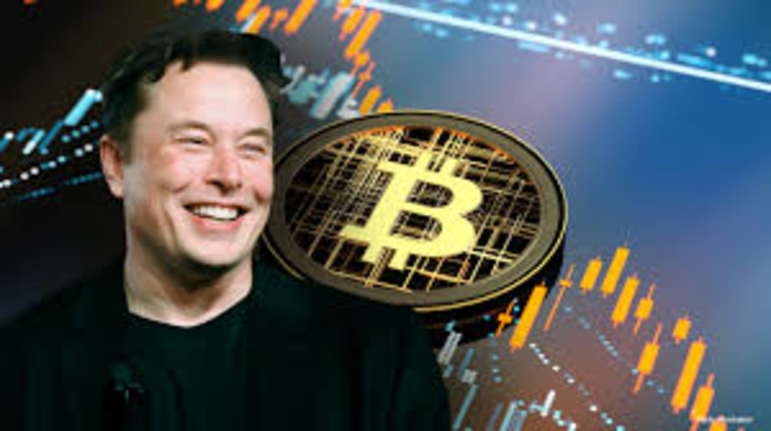 Elon Musk Is Aceing the Political Rise of Bitcoin: Investor Expects the Surge of Institutions